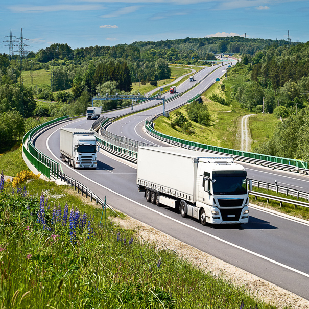 Calcolatore per Pianificare le Operazioni di Trasporto e gli Itinerari B2PWeb Italy